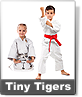 Karate for Preschool and Tiny Tigers