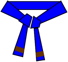 Blue Belt brown stripe