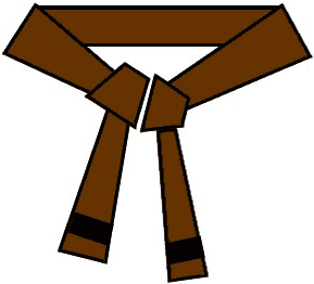 Brown Belt black stripe