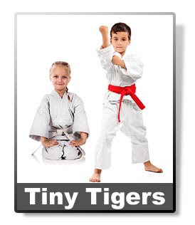 Karate for Preschoolers