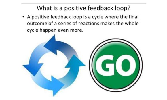 Positive Feedback Loop