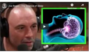 joe rogan podcast sleep expert